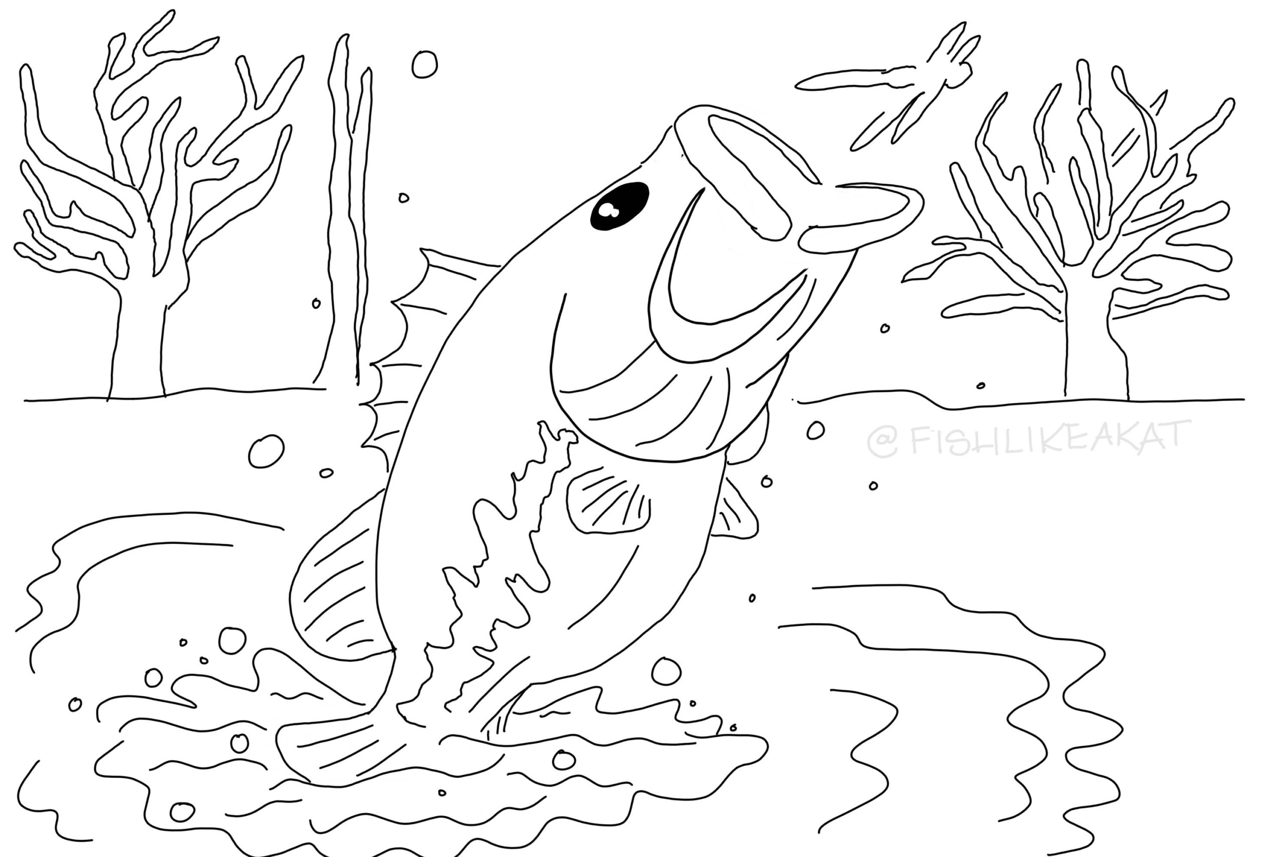 fishing coloring pages