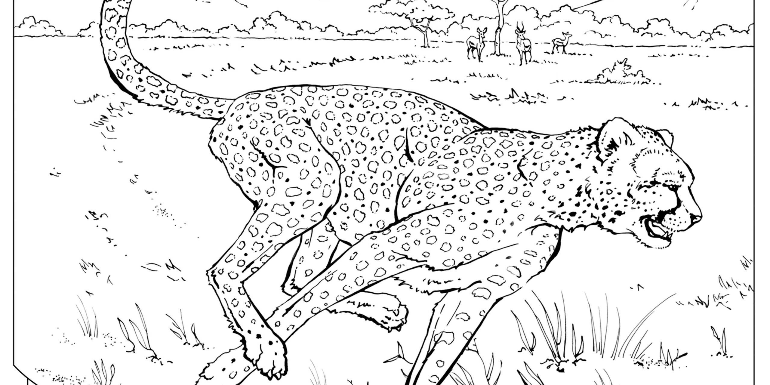 animal print coloring pages