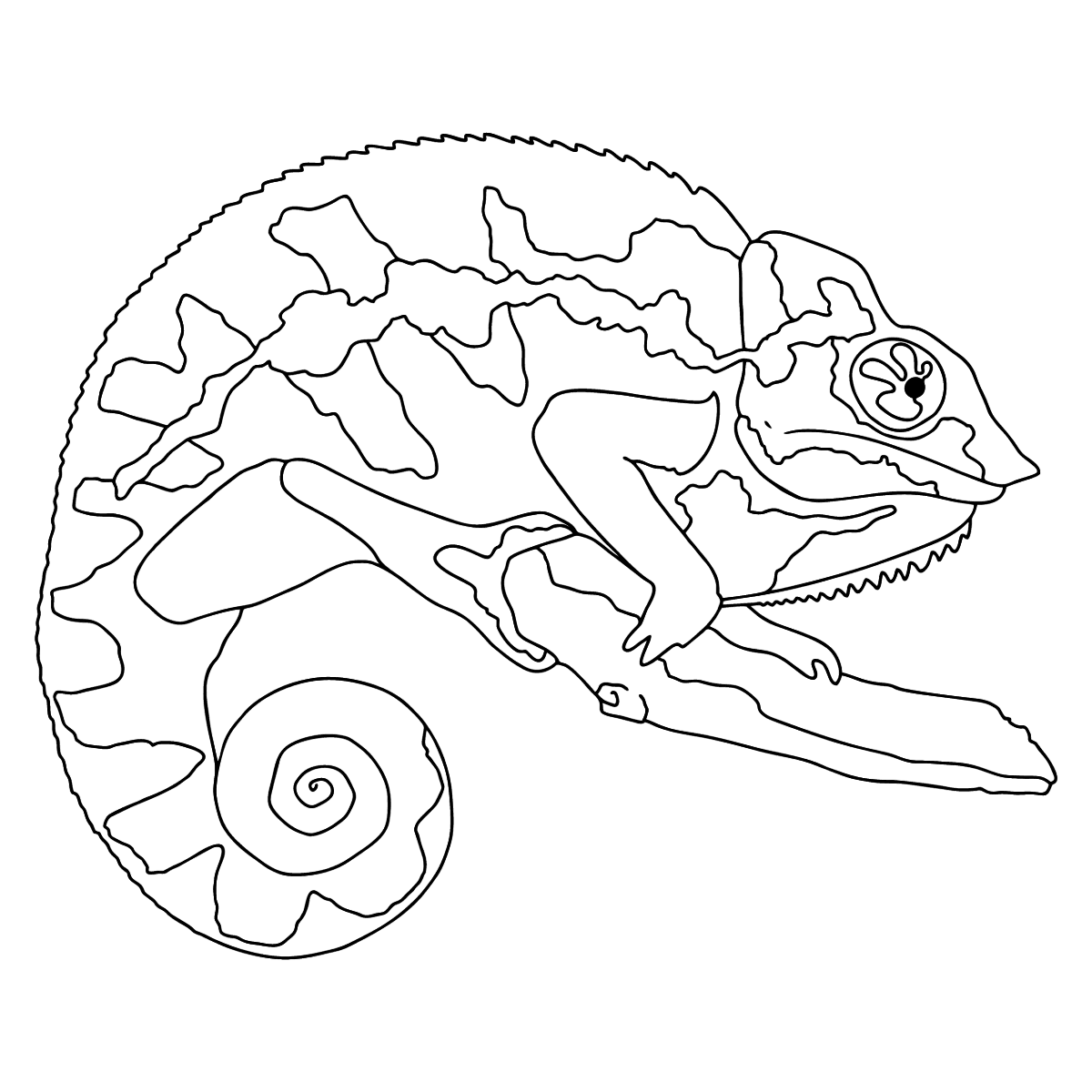 chameleon coloring page
