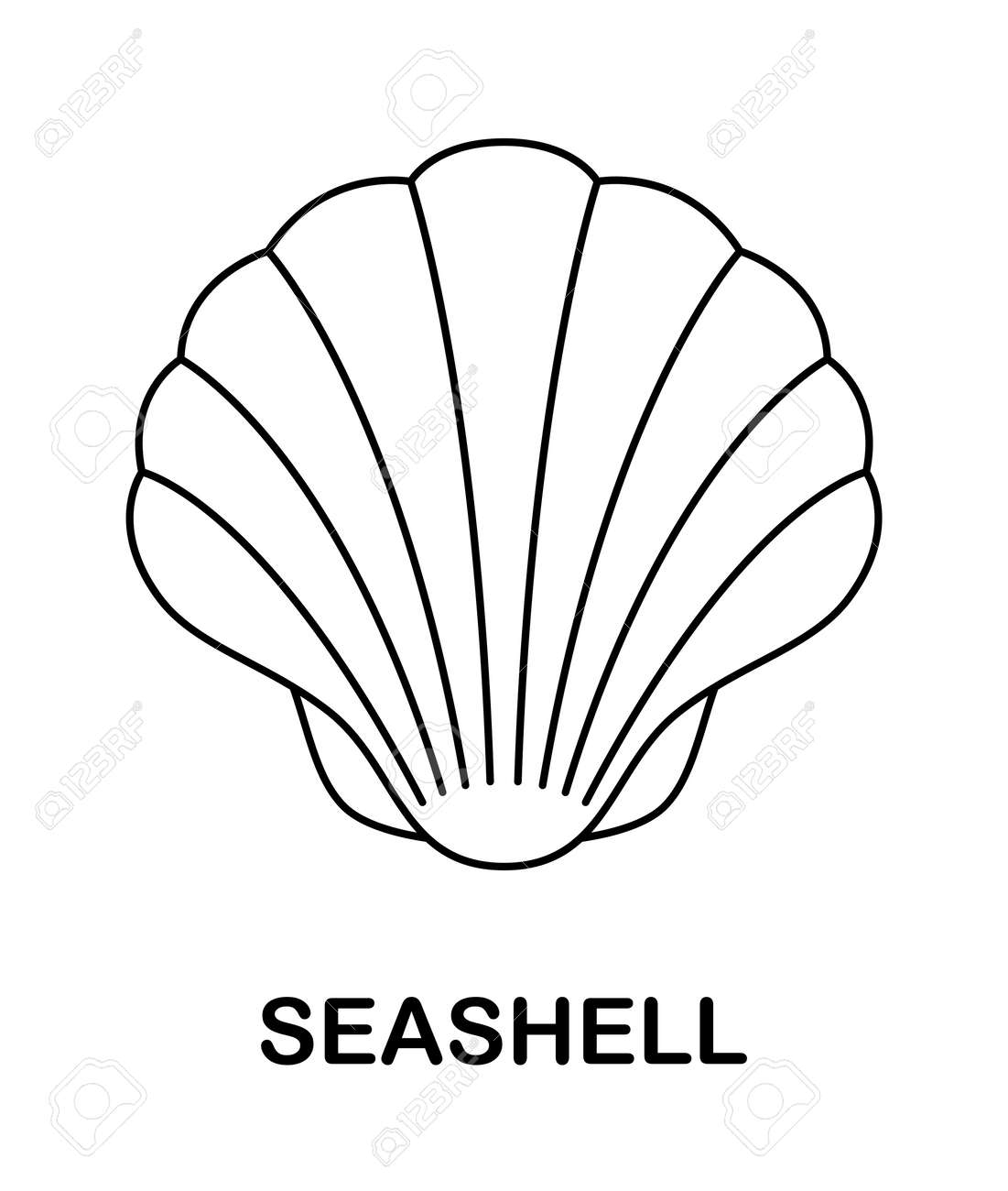 Coloring Page With Seashell For Kids Royalty Free SVG Cliparts Vectors And Stock Illustration Image 186986497 Coloring Page With Seashell For Kids Royalty Free SVG Cliparts Vectors And Stock Illustration Image 186986497