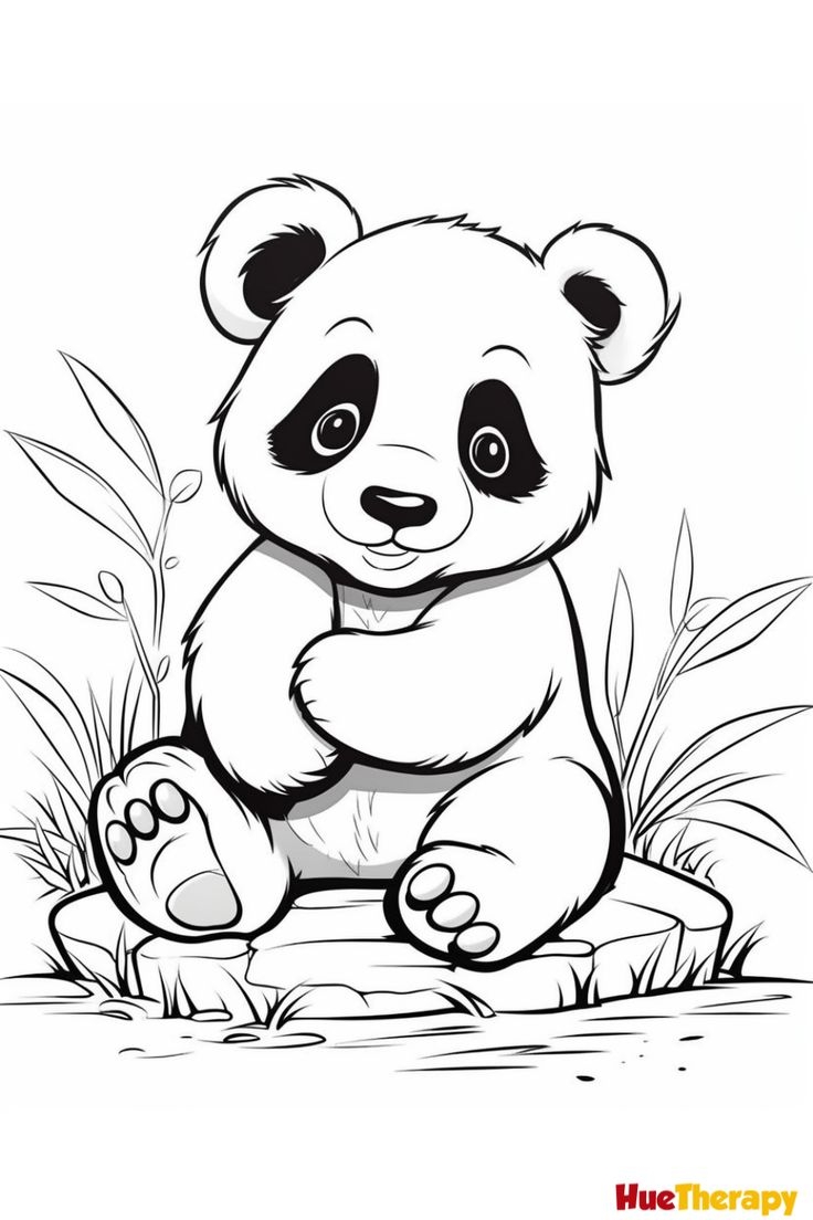 Coloring Pages Animals