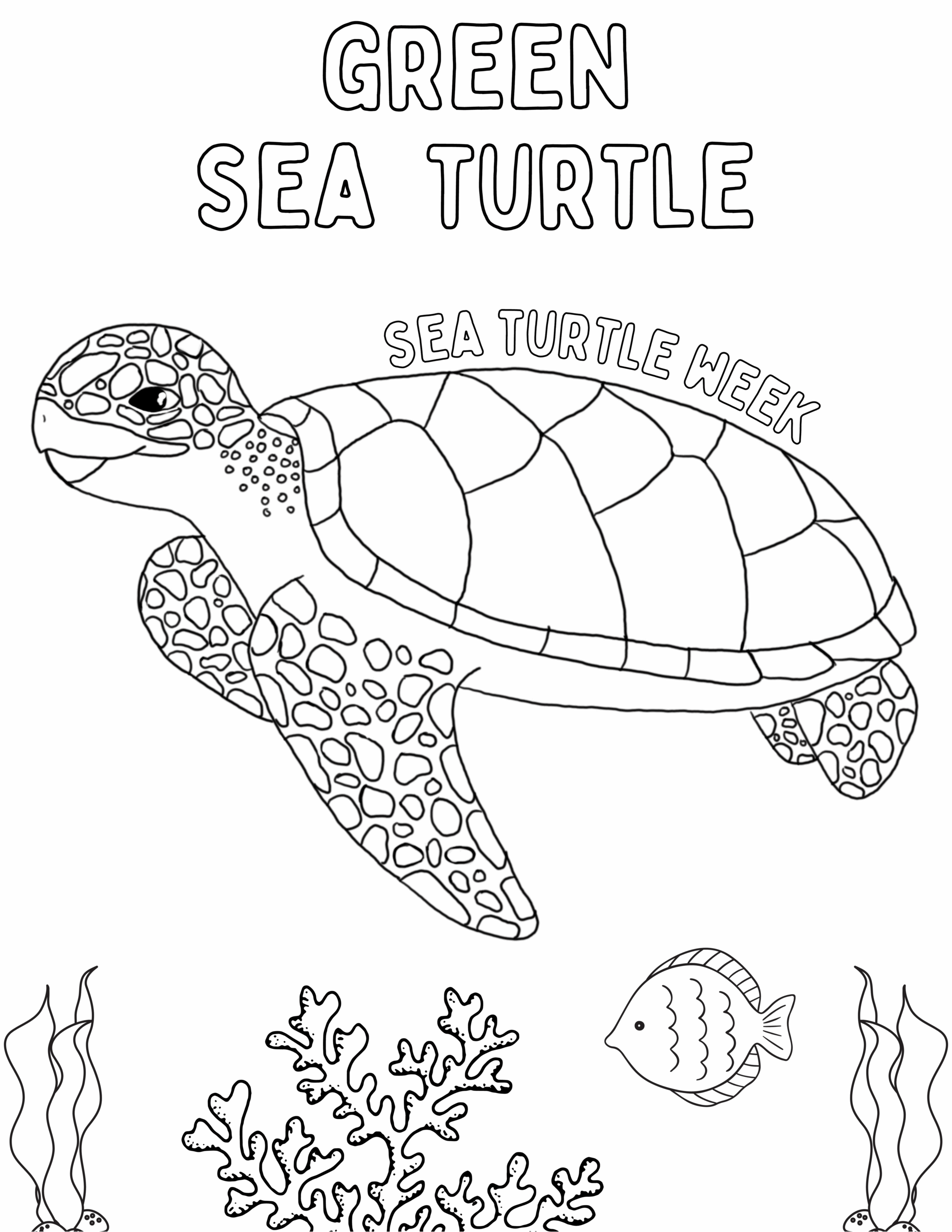 coloring pages of sea turtles