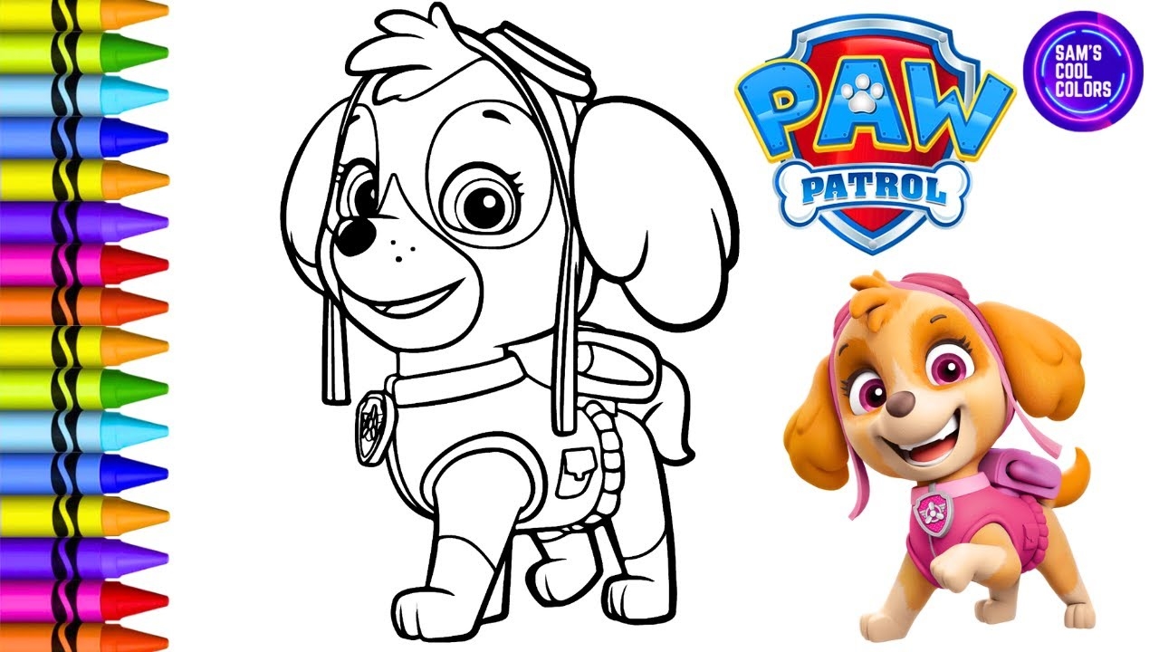 Coloring Skye From PAW Patrol Coloring Book Page Crayola Crayons YouTube