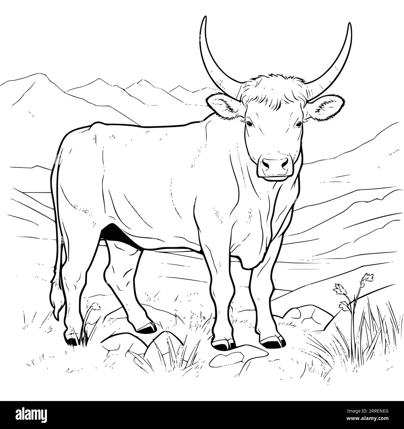 Cow Coloring Pages For Toddlers Cut Out Stock Images Pictures Alamy