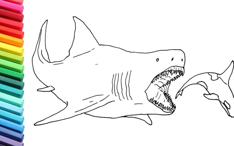 Drawing And Coloring The Megalodon Megalodon Shark Color Pages For Children YouTube