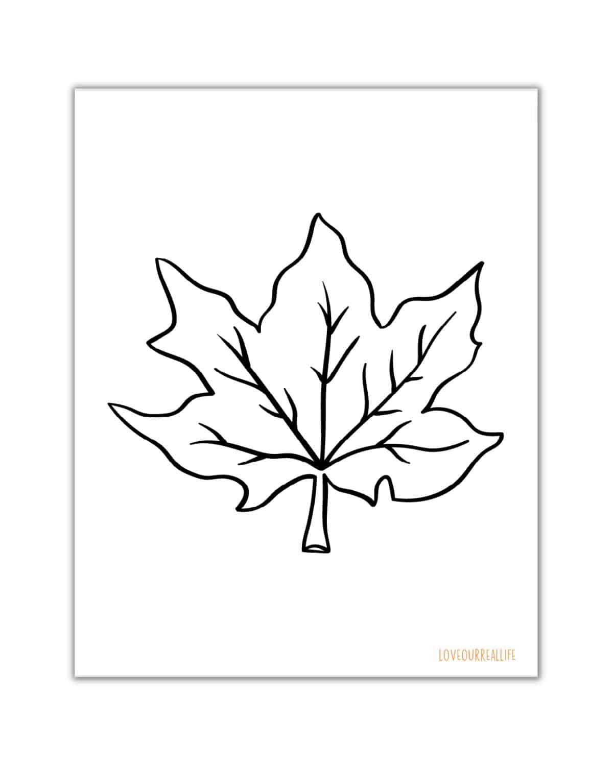 leaf coloring page