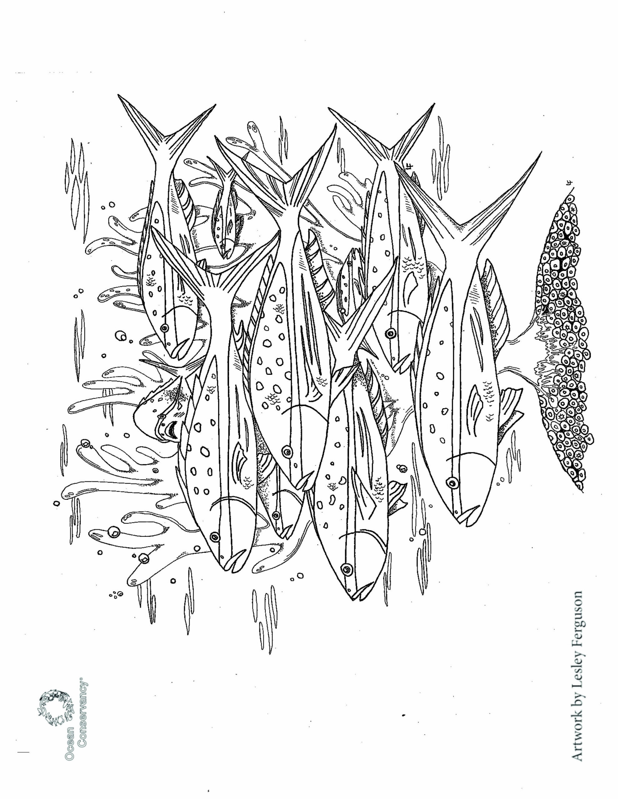 Fish Coloring Pages Ocean Conservancy Fish Coloring Pages Ocean Conservancy