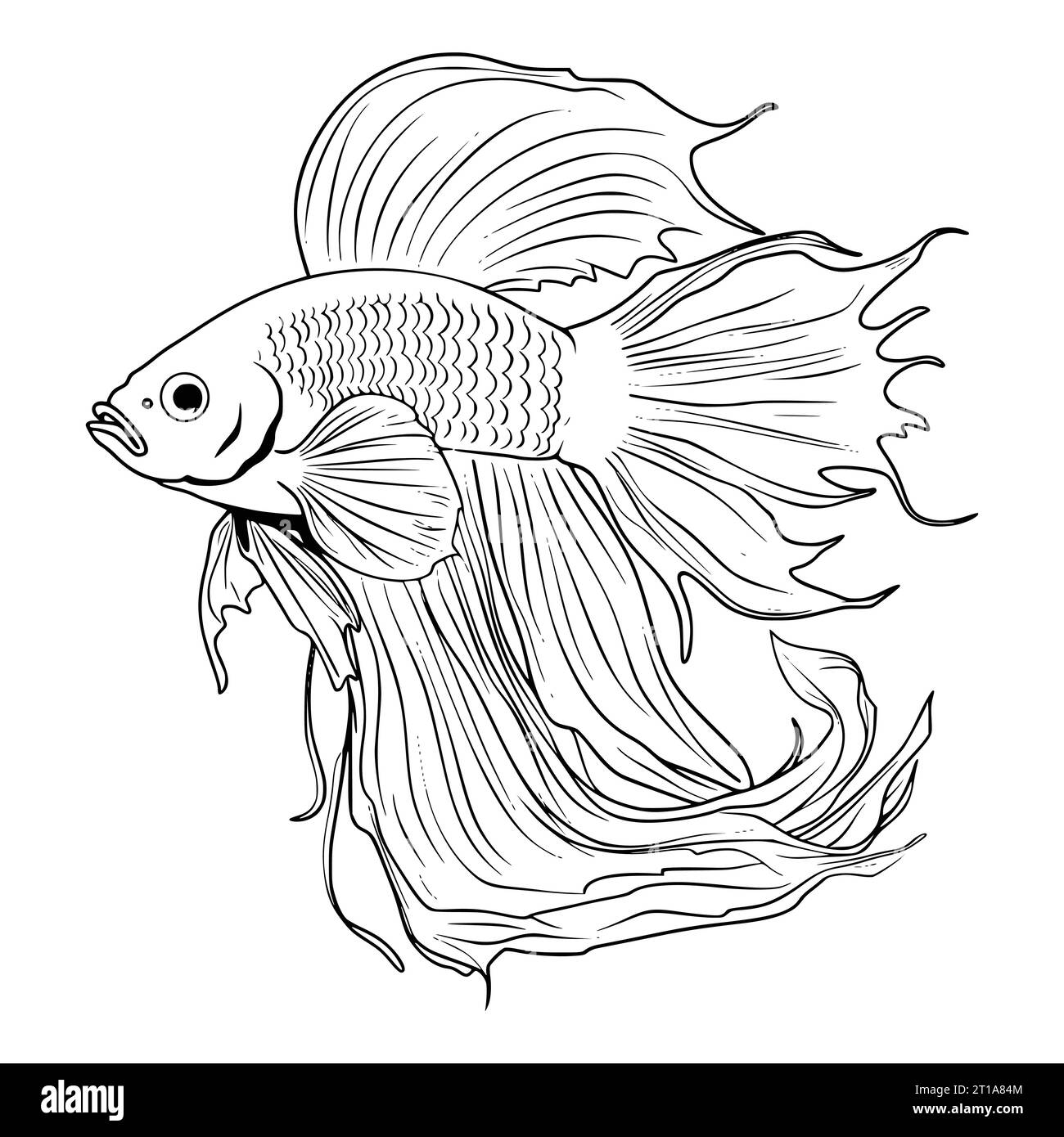 Fish Coloring Pages Stock Vector Images Alamy