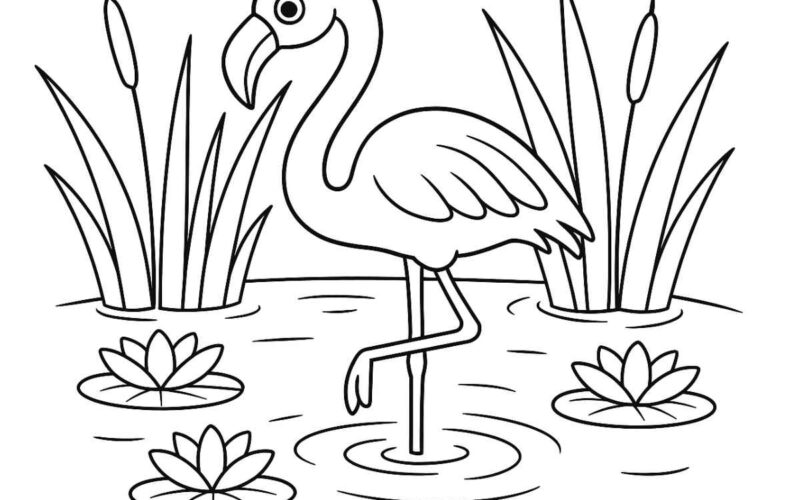Flamingo Coloring Pages Skip To My Lou