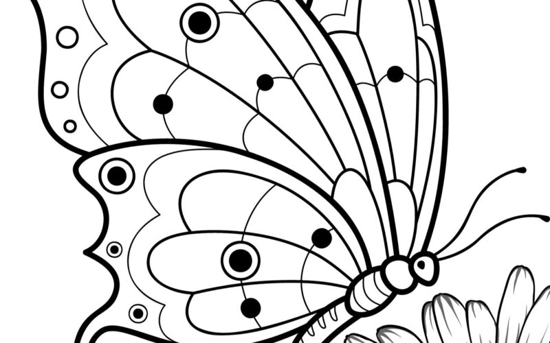 Free Butterfly Coloring Pages To Print Crafty Morning