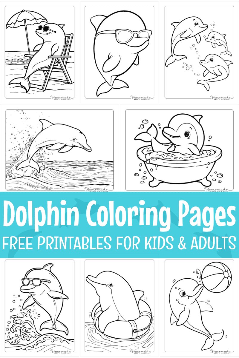 Free Dolphin Coloring Pages For Kids Adults PDF Printables 