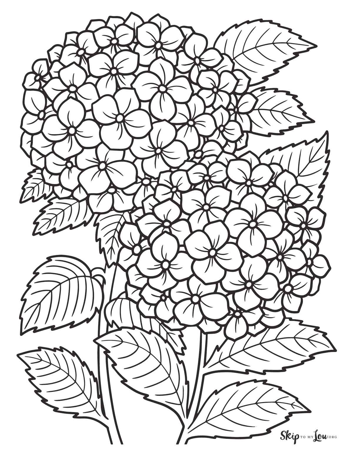 coloring pages for adults flowers