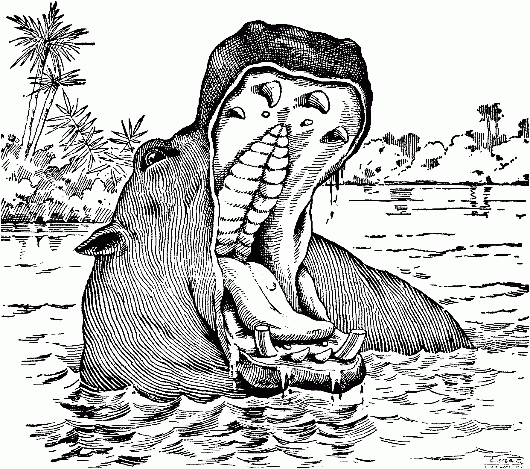 Free Hippo Coloring Pages