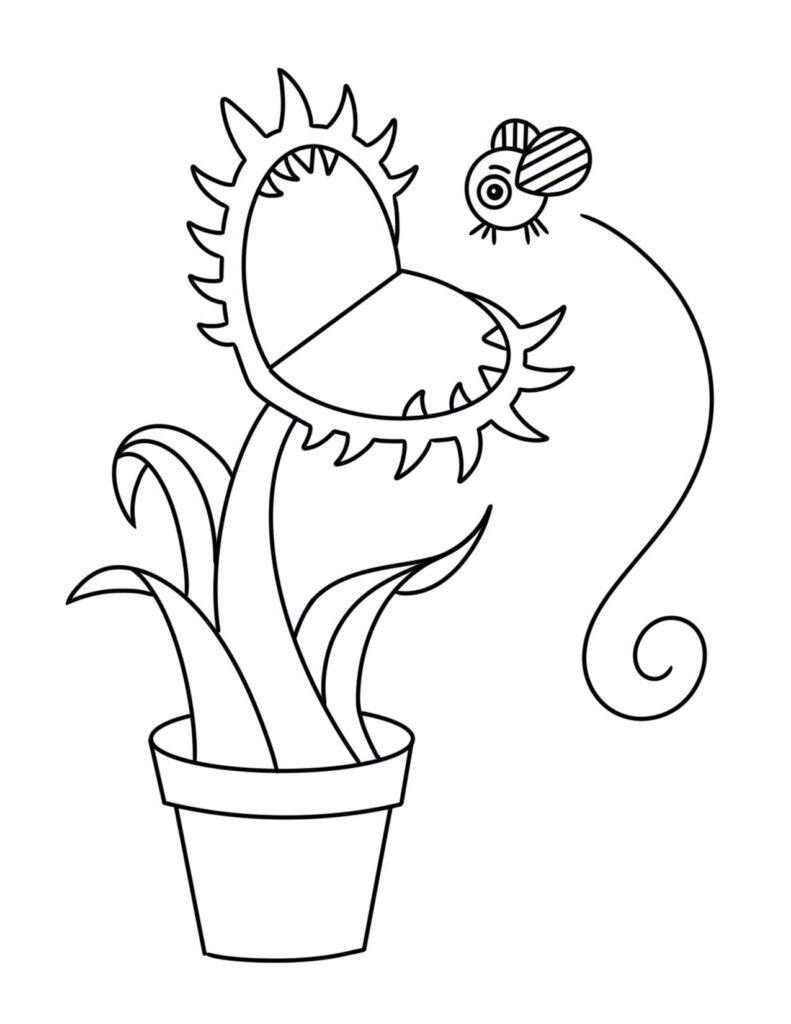 plants coloring pages