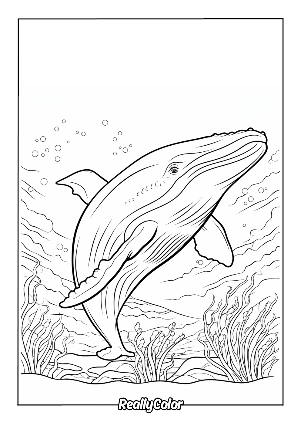 Free Printable Blue Whale Coloring Pages Free Printable Blue Whale Coloring Pages