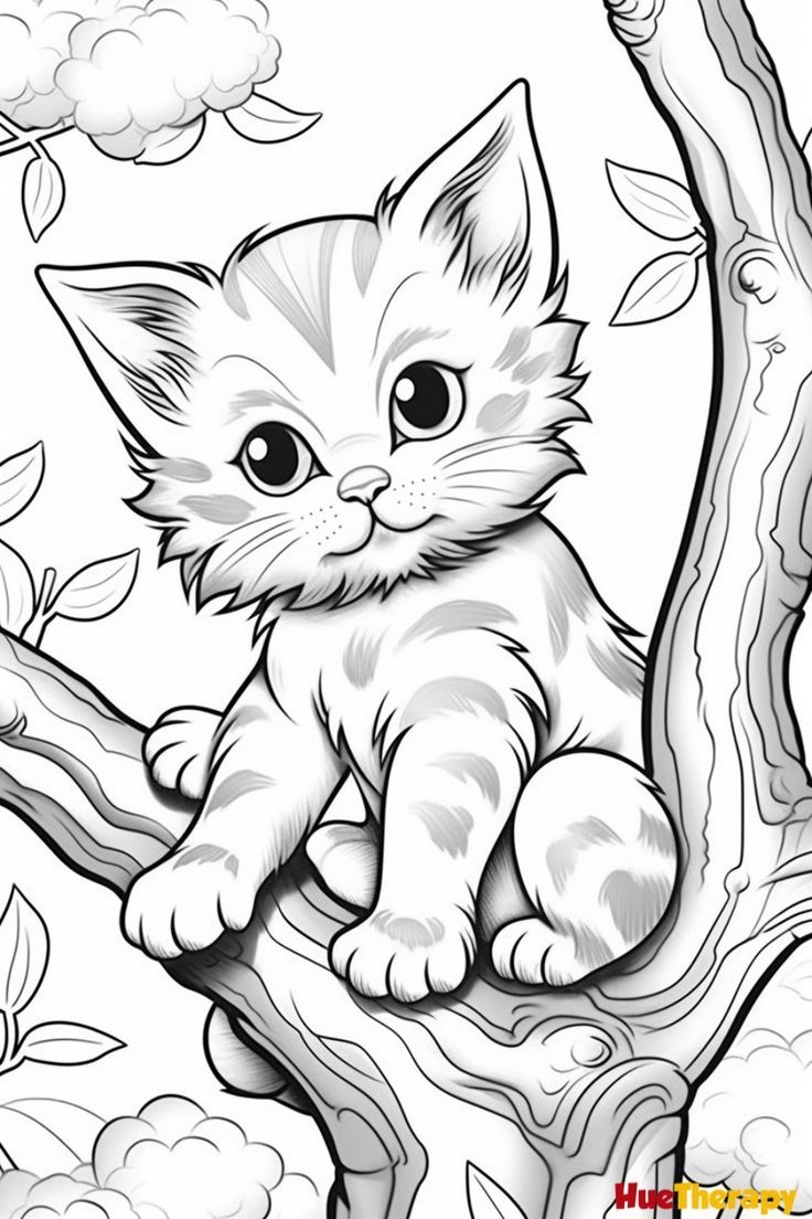 Free Printable Cat Coloring Pages For Kids