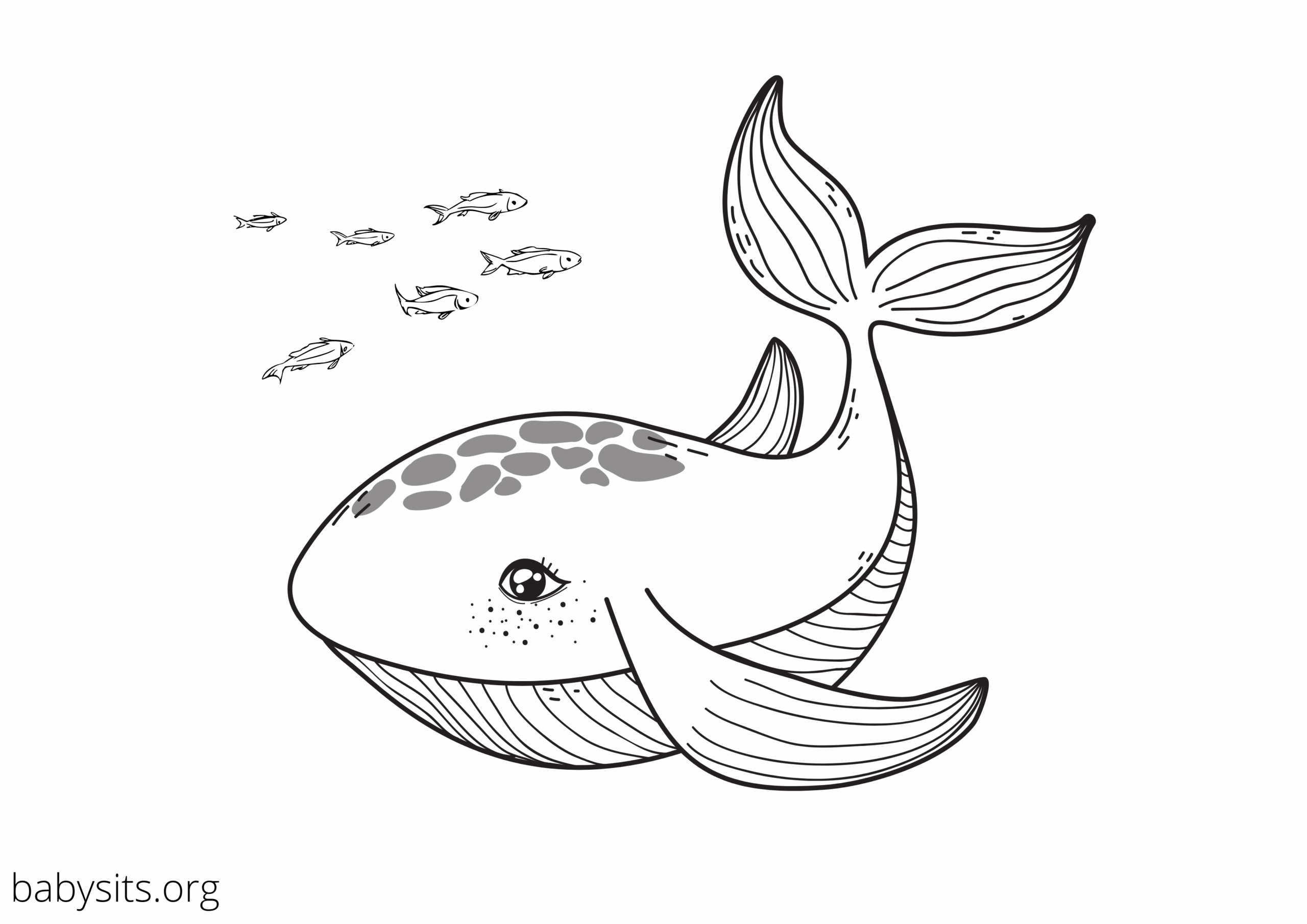 sea creatures coloring pages