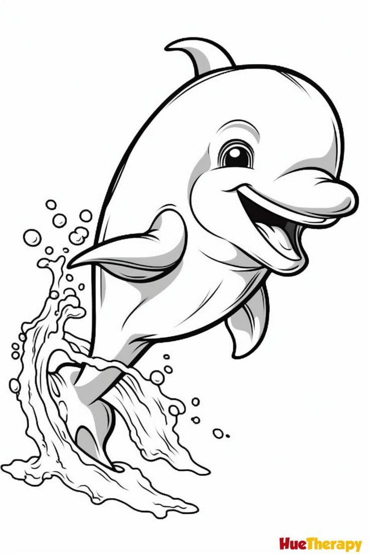 dolphin coloring page