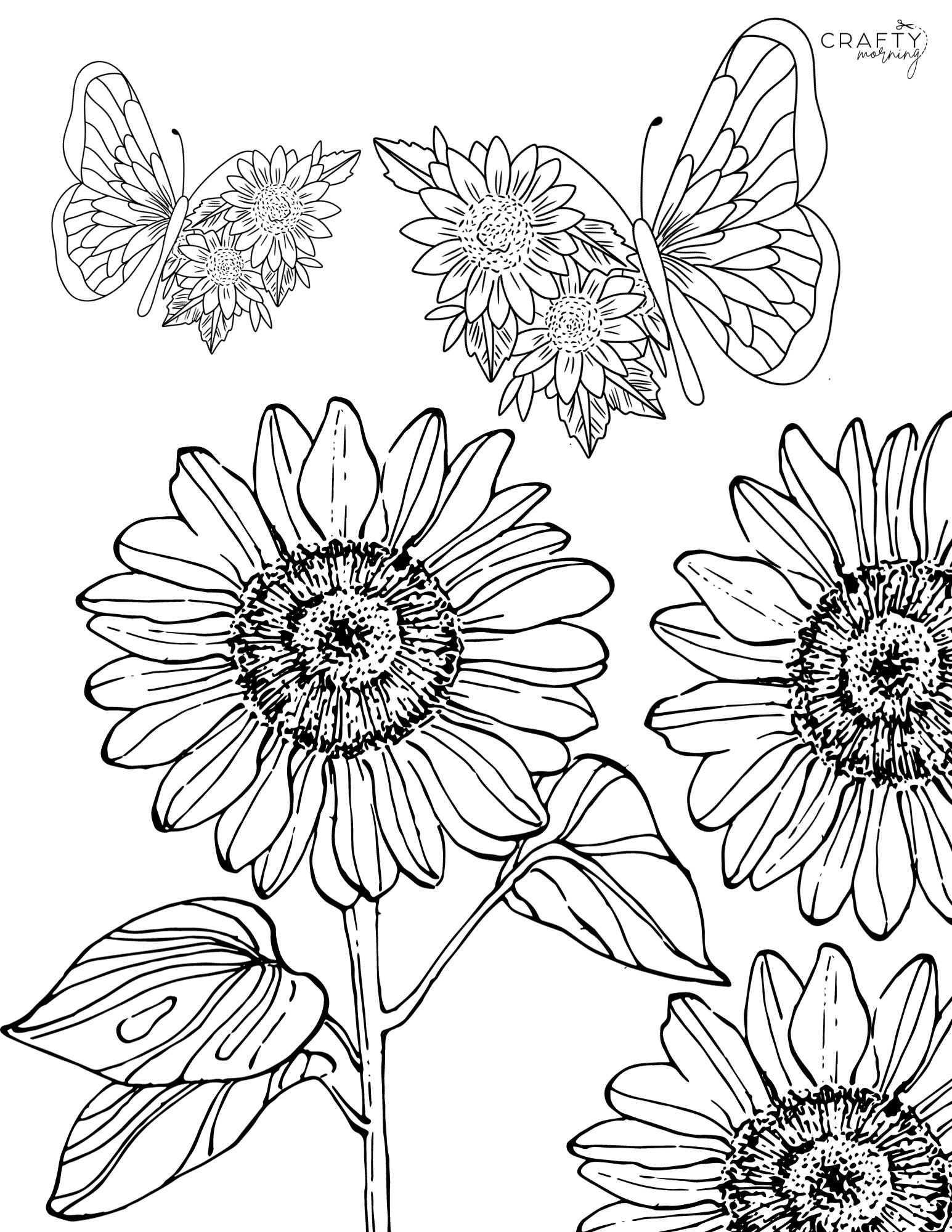 Free Printable Sunflower Coloring Pages Crafty Morning