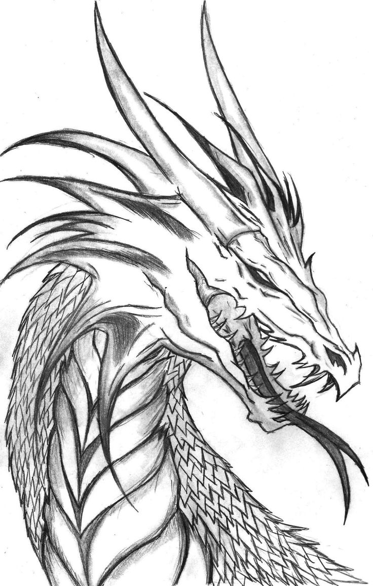 Free Realistic Dragon Coloring Pages Pdf Free Realistic Dragon Coloring Pages Pdf