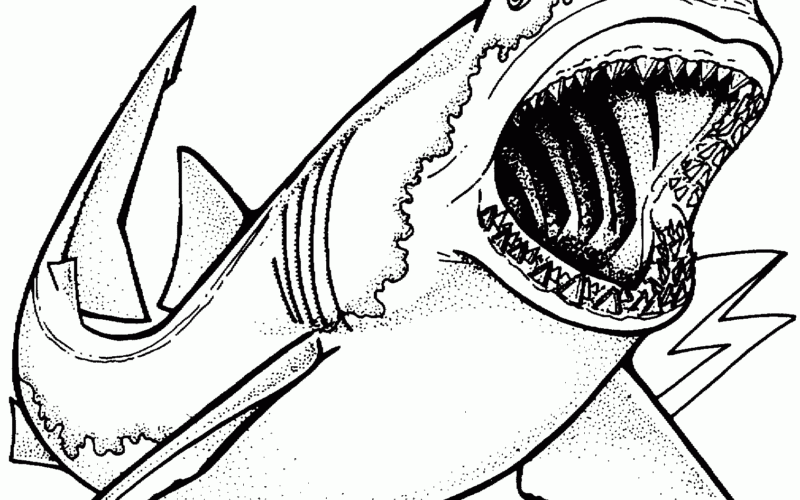 Free Shark Coloring Pages