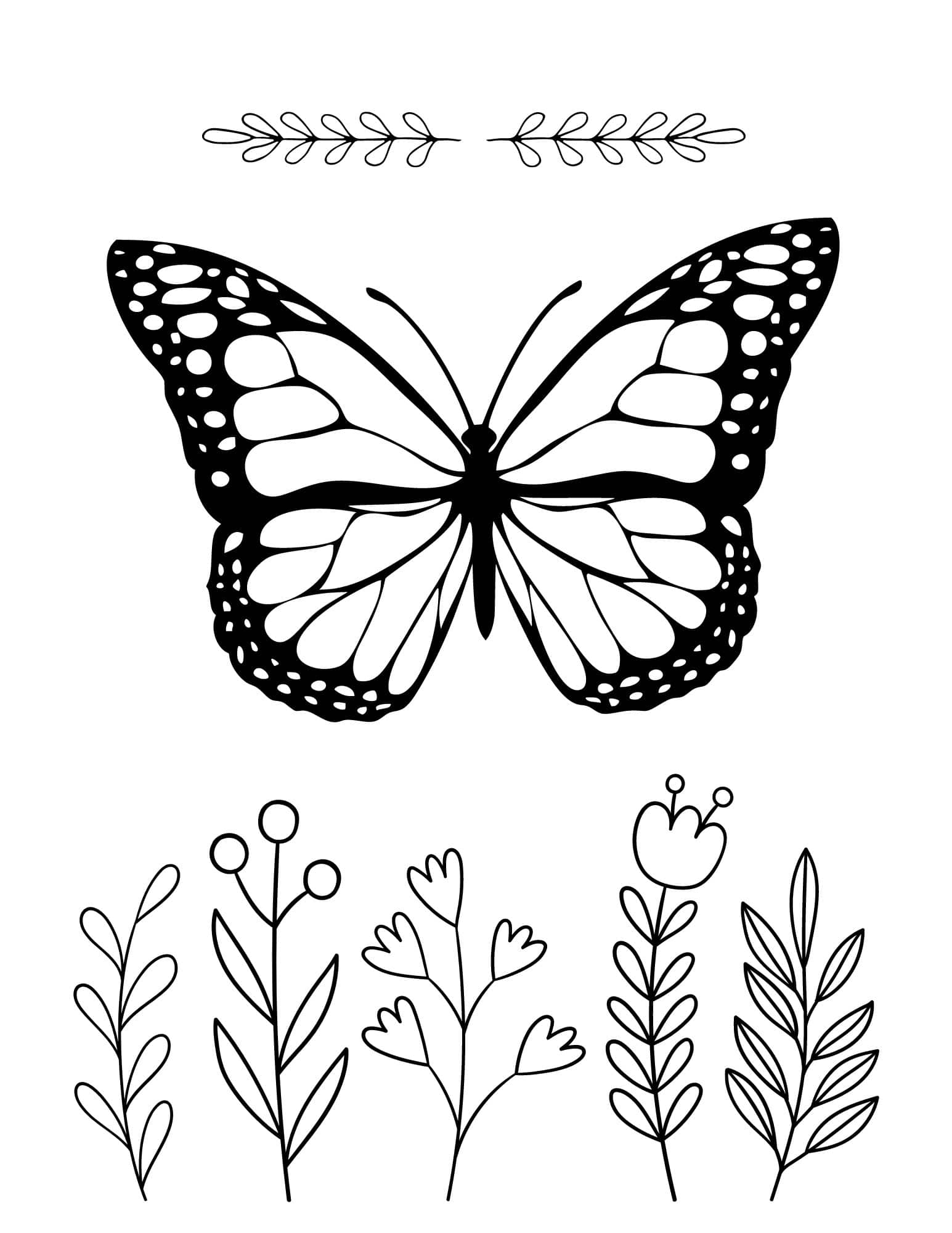 free butterfly coloring pages