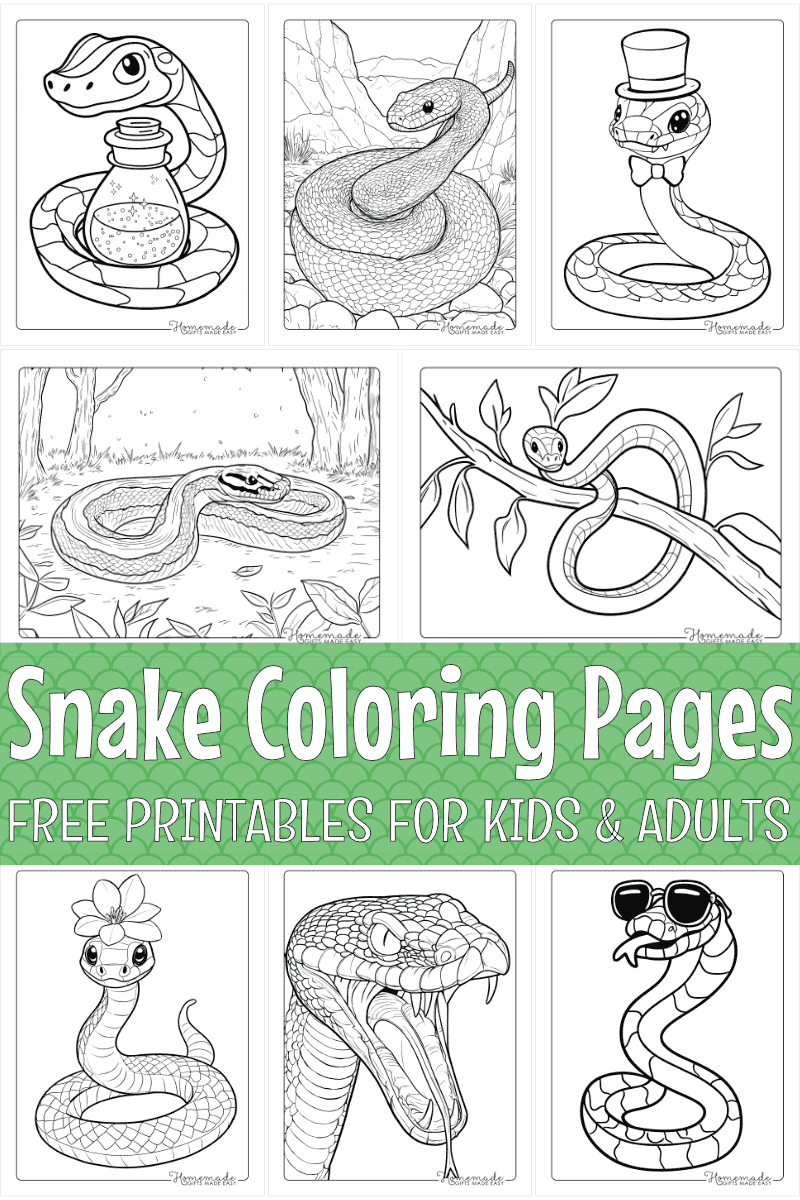 Free Snake Coloring Pages For Kids And Adults PDF Printables 