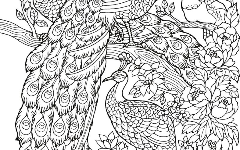 Freebie Friday Peacock Adult Coloring Book