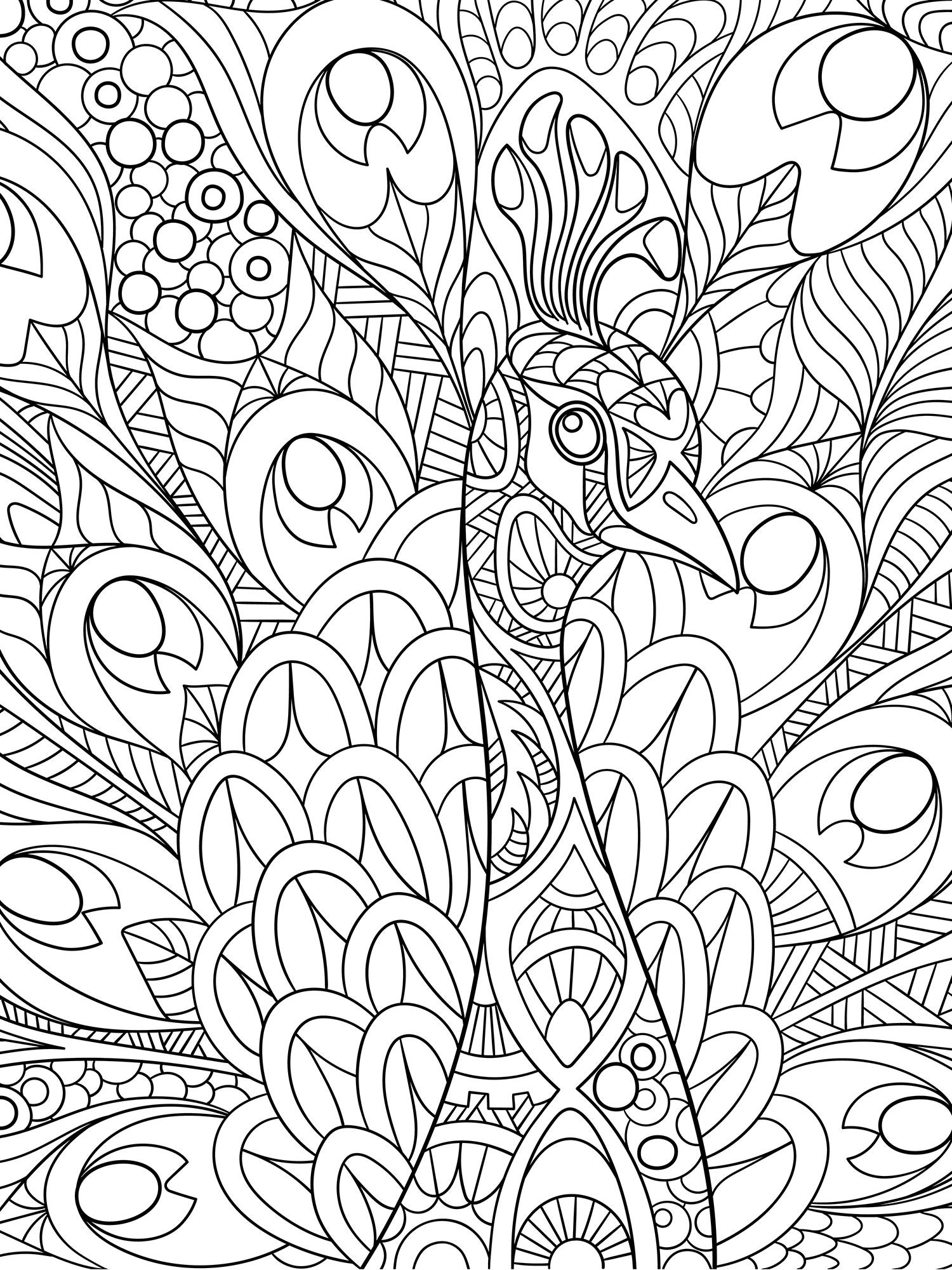 peacock coloring pages