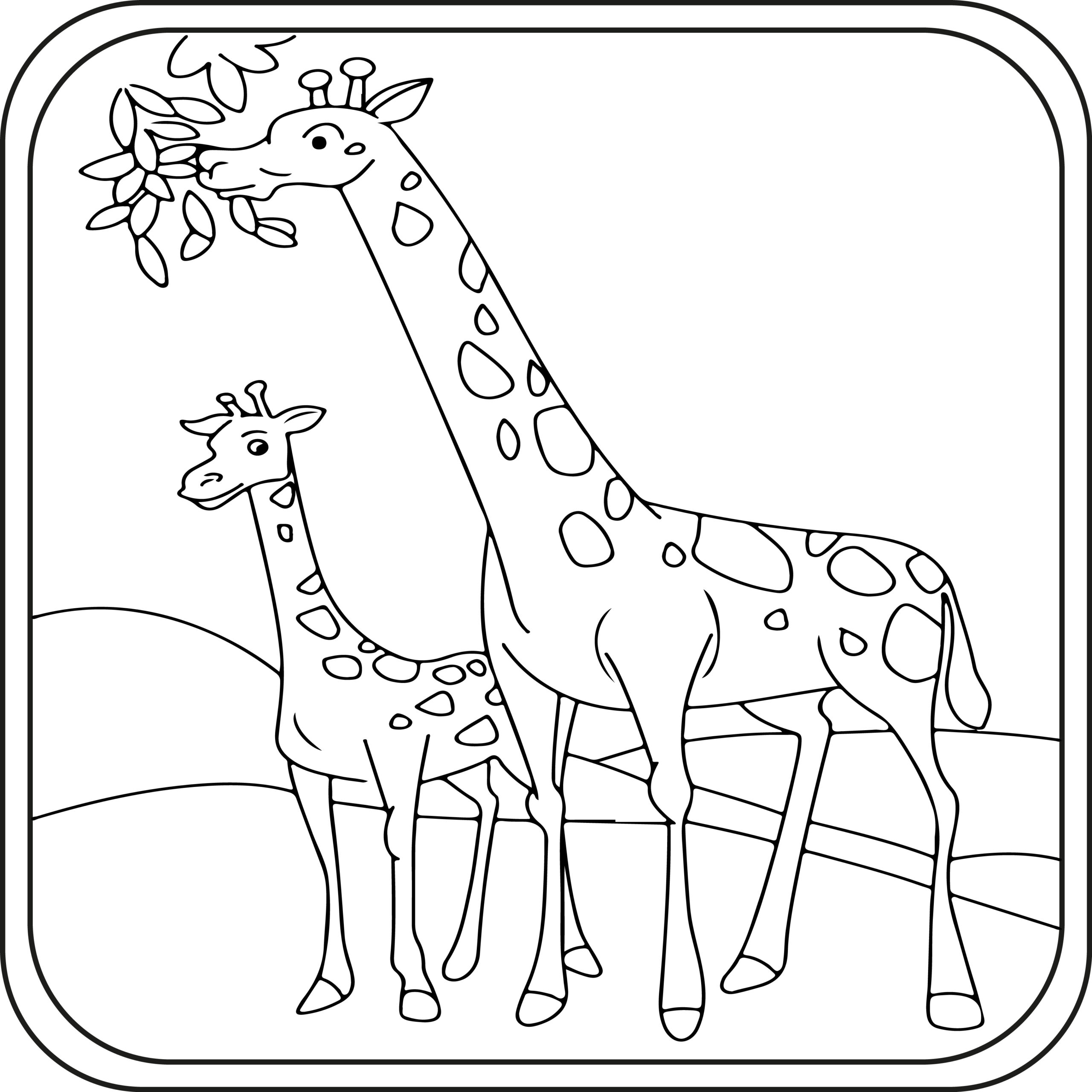 Giraffe Coloring Pages Preschool Kindergarten First Grade Made By Teachers Giraffe Coloring Pages Preschool Kindergarten First Grade Made By Teachers