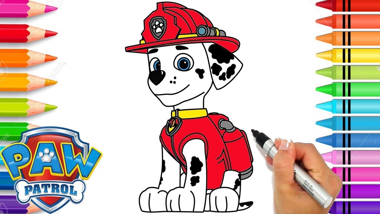How To Draw Paw Patrol Marshall Coloring Pages For Kids Learn To Draw YouTube