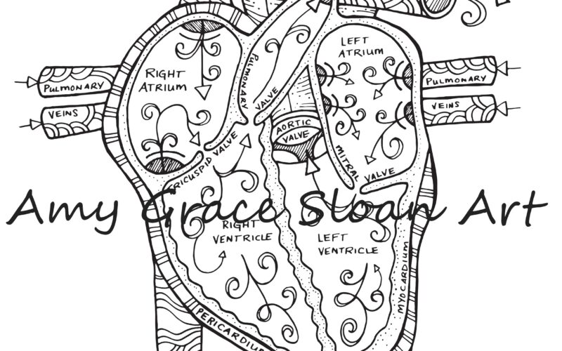 Human Anatomy Coloring Pages Etsy