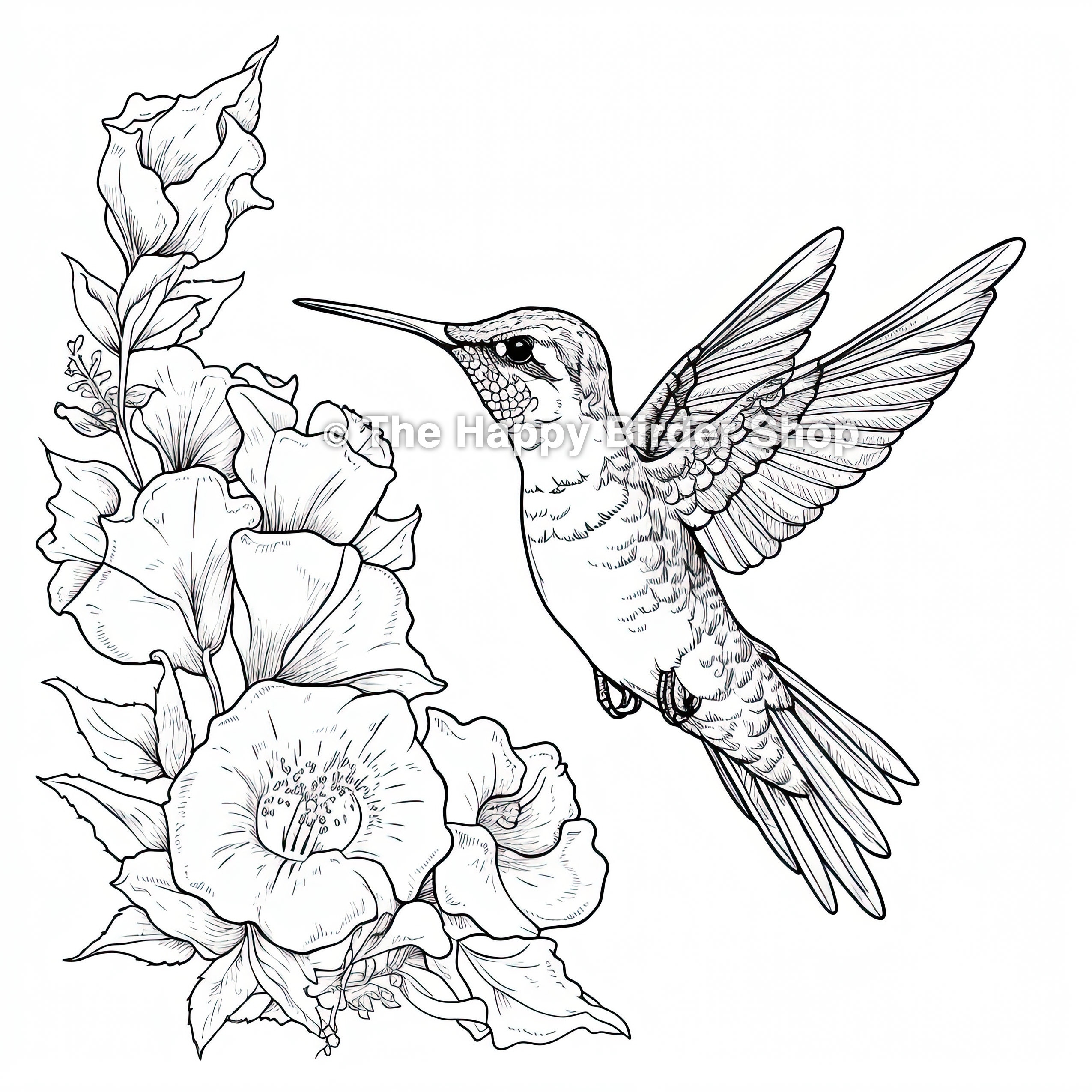 Hummingbird Coloring Book Page Birds Bird Nerd bird Gifts fun Bird Gifts bird Lovers Nature Adult Coloring Book Stress Anxiety Relief Etsy