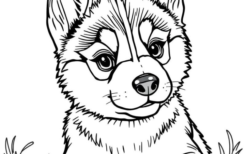 Husky Coloring Pages 6 Free Printables ColoringMaker