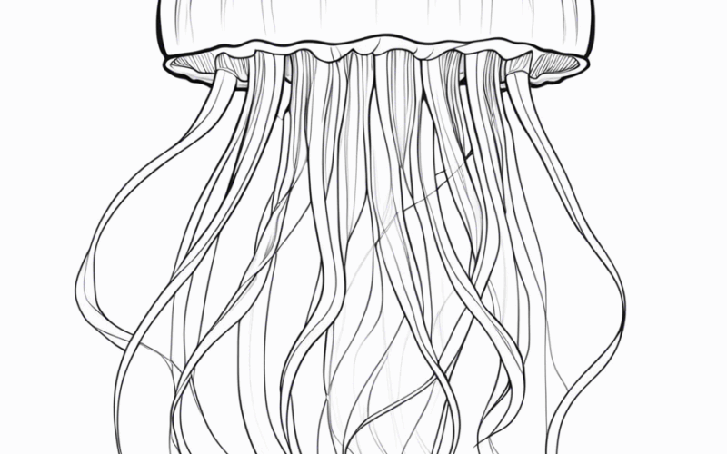 Immortal Jellyfish Coloring Page