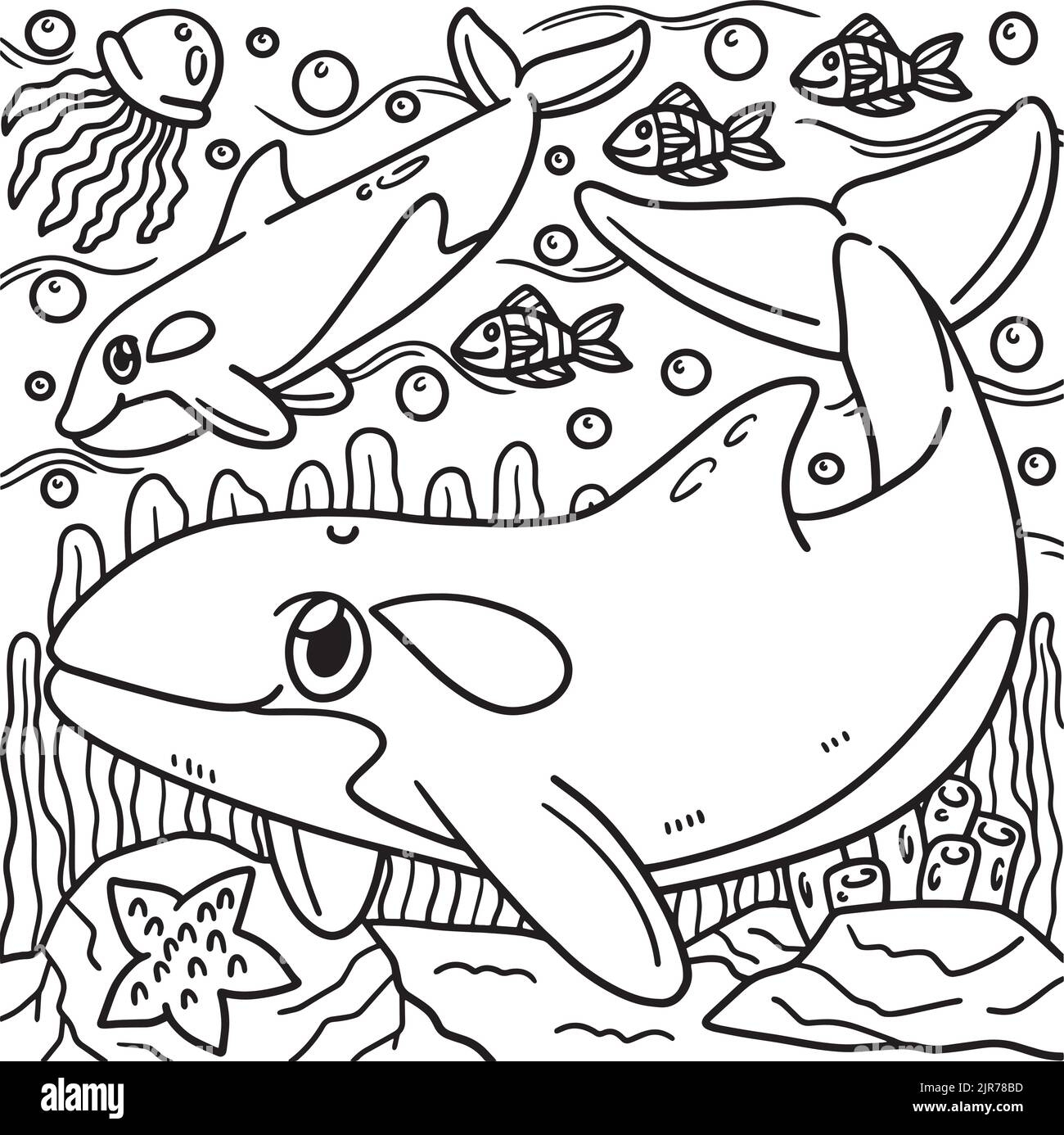 Killer Whale Coloring Page For Kids Stock Vector Image Art Alamy