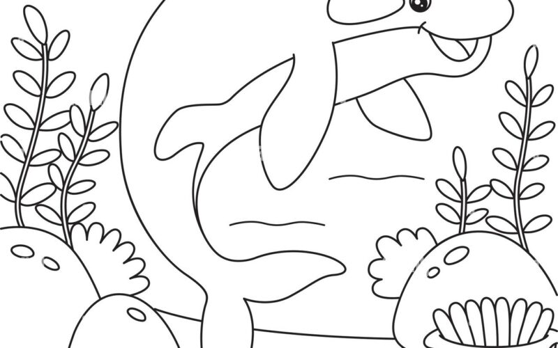 Killer Whale Coloring Page For Kids Stock Vector Image Art Alamy
