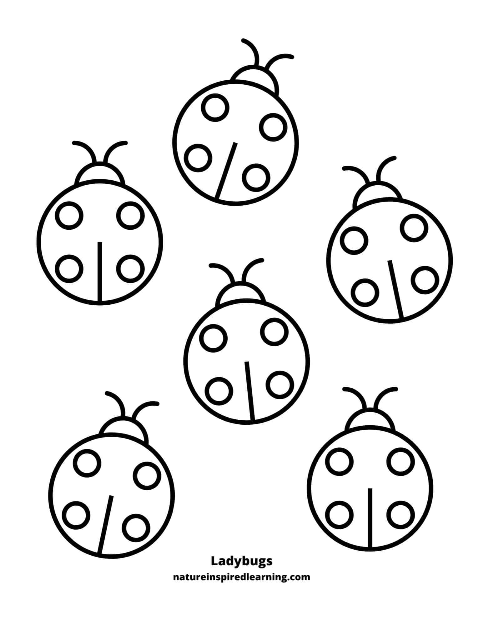 Ladybug Coloring Pages And Printables For Kids Ladybug Coloring Pages And Printables For Kids