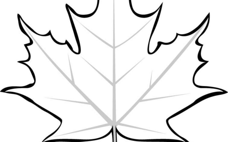 Leaf Printable Coloring Pages HubPages