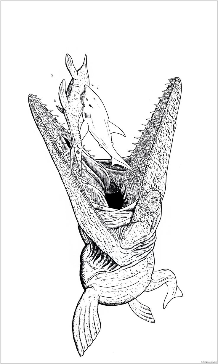 Mosasaurus Printable Coloring Pages At Whitley Vera