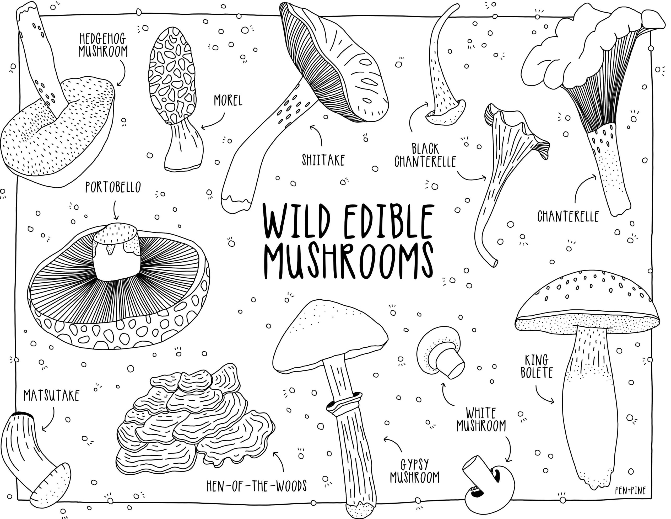 coloring pages of mushrooms
