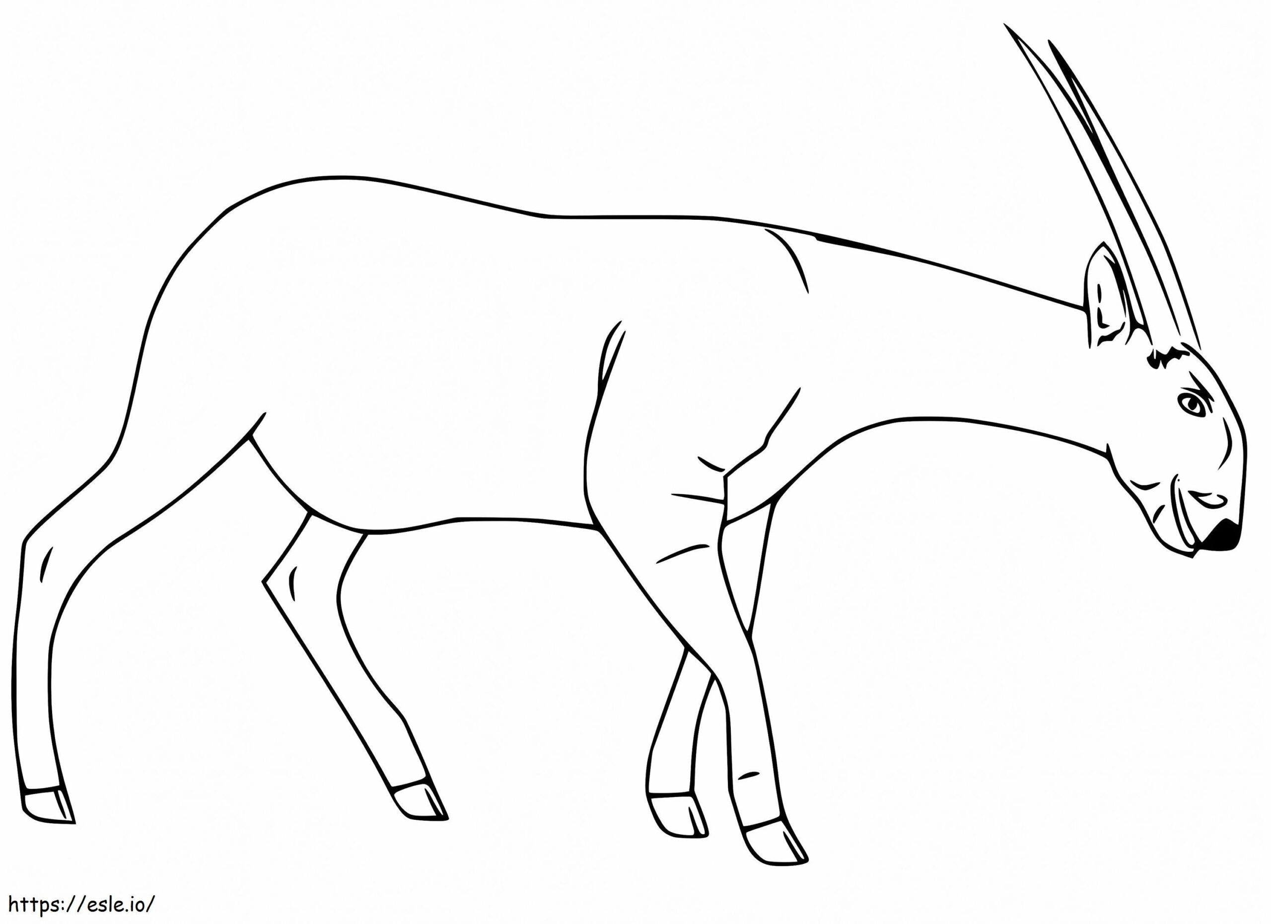 Normal Saola Coloring Page Normal Saola Coloring Page