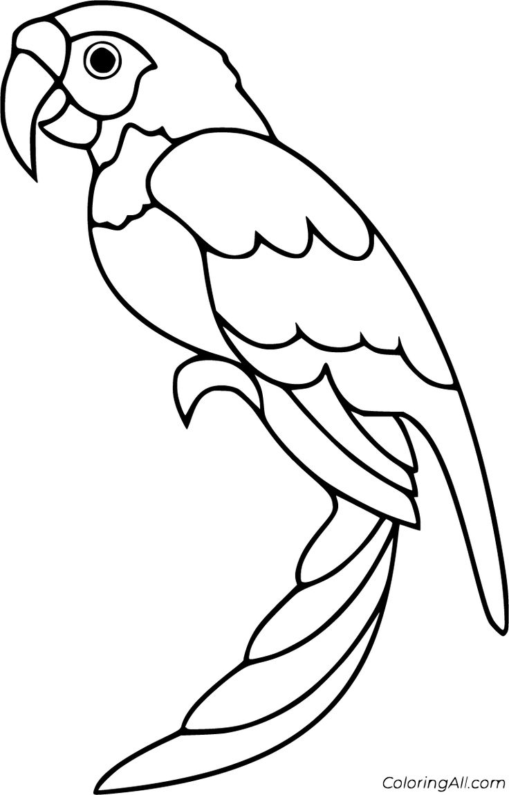 Parrot Coloring Pages