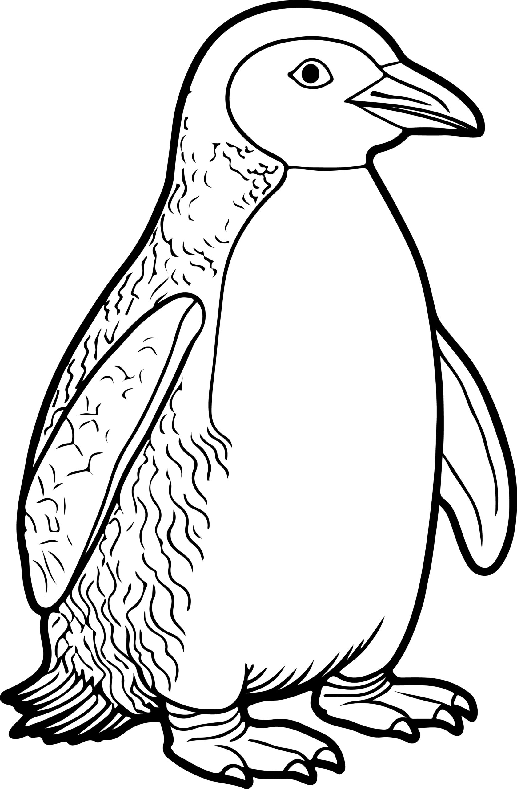 Penguin Coloring Book Coloring Pages With Penguin Designs For Kids To Coloring Made By Teachers