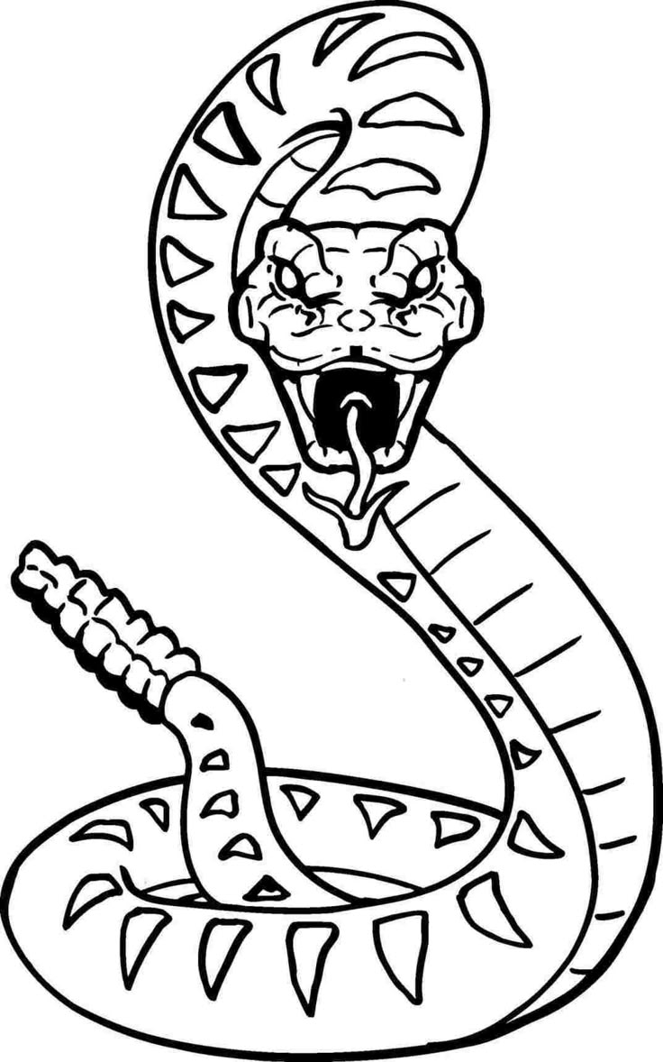 snake coloring page