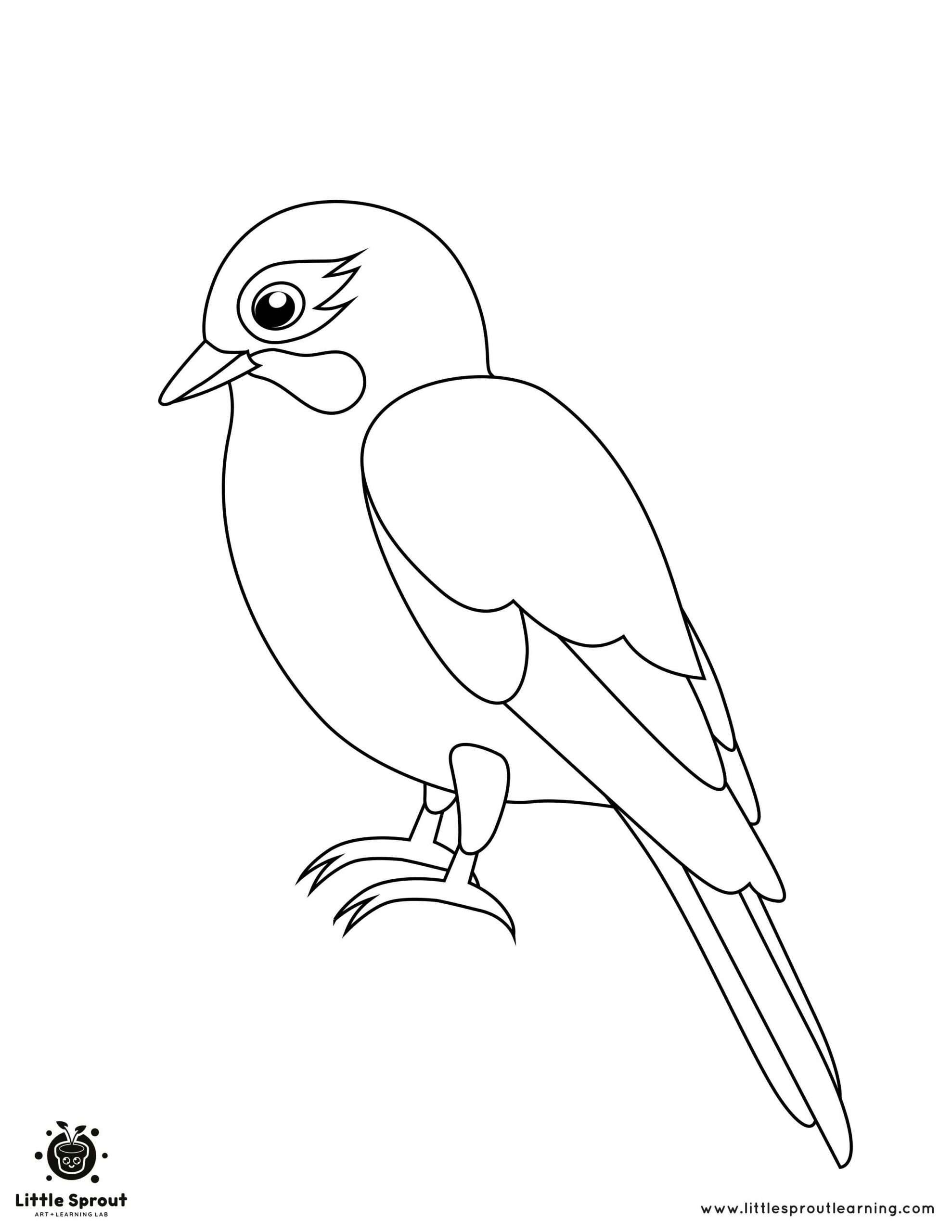 Printable Bird Colouring Pages For Your Child Printable Bird Colouring Pages For Your Child
