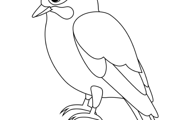 Printable Bird Colouring Pages For Your Child