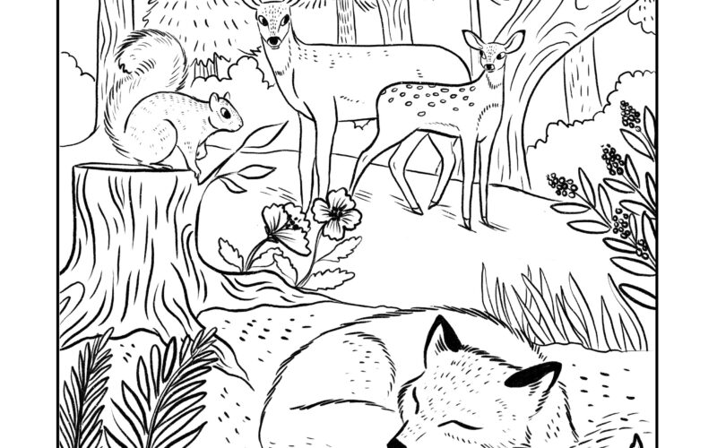 Printable Coloring Pages Anna Coleman