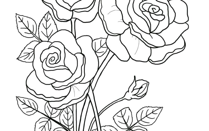 Printable Floral Coloring Sheets Coloring Pages Adult Coloring Pages Kids Coloring Pages Coloring Flowers Etsy