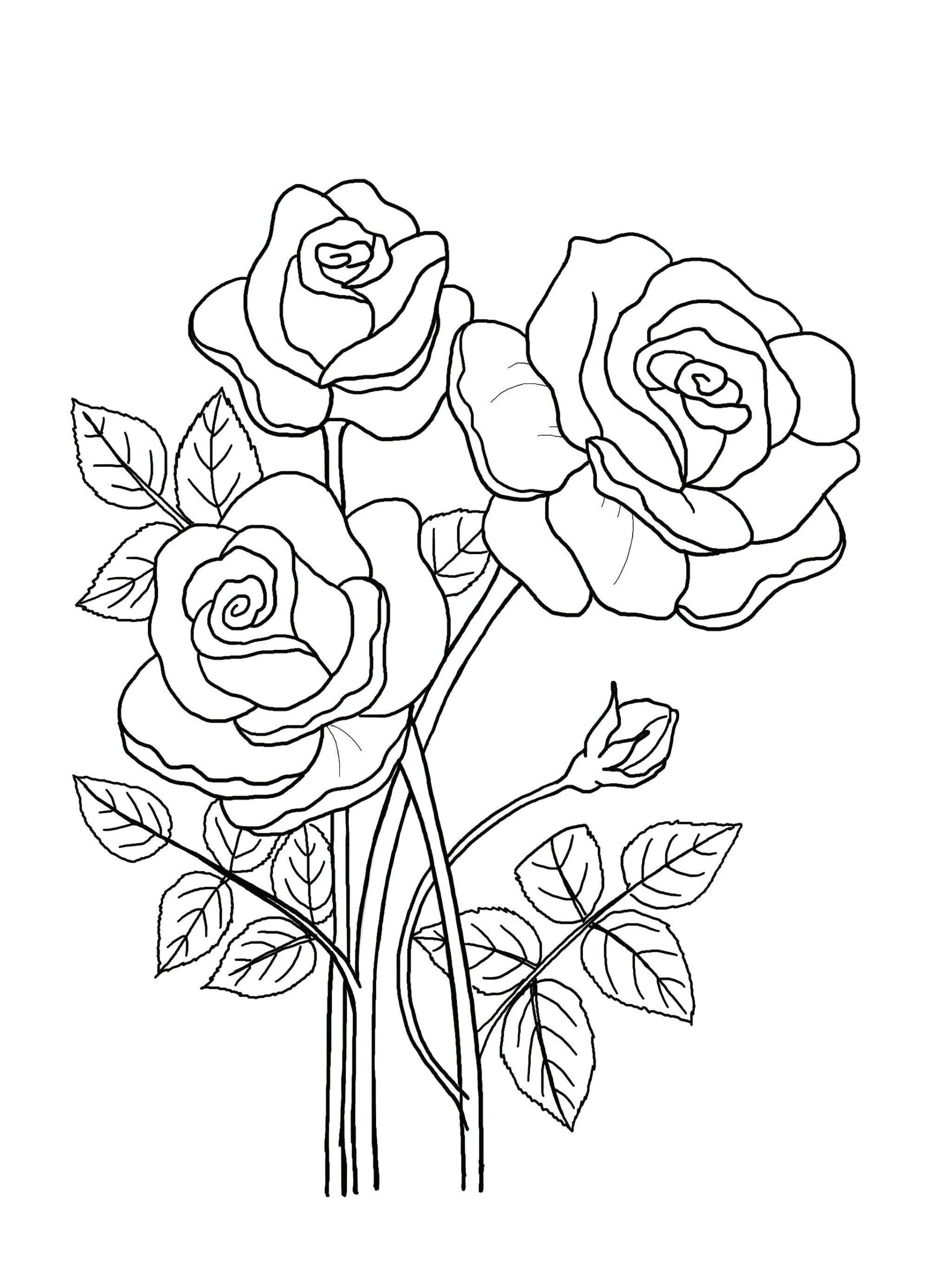 Printable Floral Coloring Sheets Coloring Pages Adult Coloring Pages Kids Coloring Pages Coloring Flowers Etsy Israel